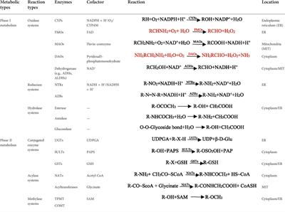 Analyzing the metabolic fate of oral administration drugs: A review and state-of-the-art roadmap